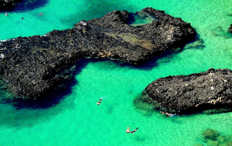 Baia dos porcos - Fernando de Noronha - PE