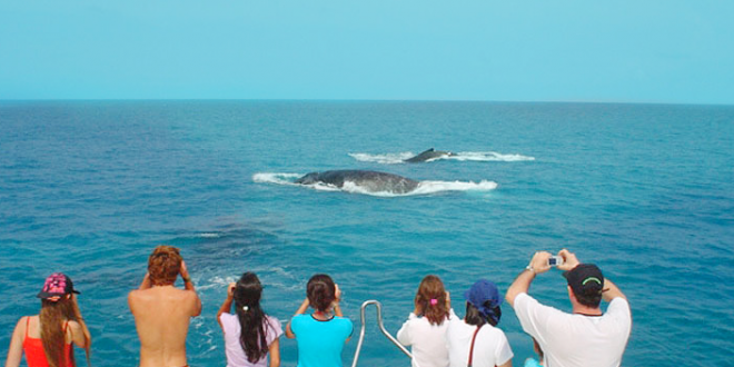 Projeto une turismo e preservação ambiental na Bahia