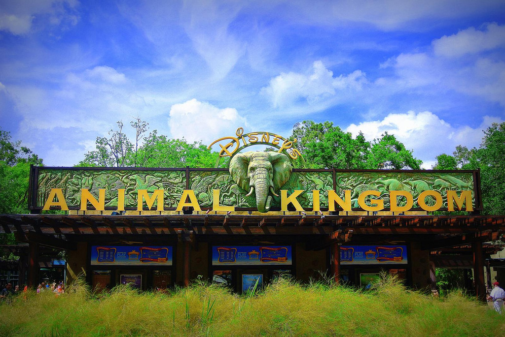 Disney's Animal Kingdom