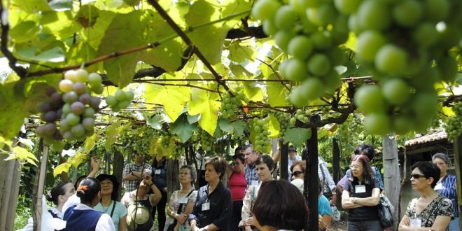 Passeio ciclístico e cultural Magnalonga